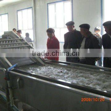 Mushroom cleaning machine/bubble washing machine/fruit washing machine