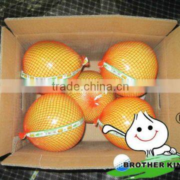 Supply honey chinese pomelo juicy good shape pomelo
