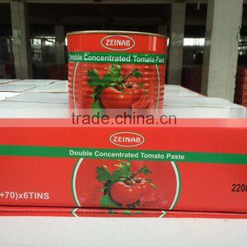 Tomato Paste 22/24 Concentration