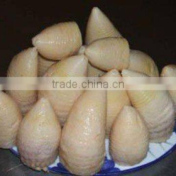 2950g water bamboo shoots from Wuyi mountain