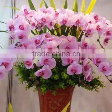 plastic orchid flower factory artificial orchid flower