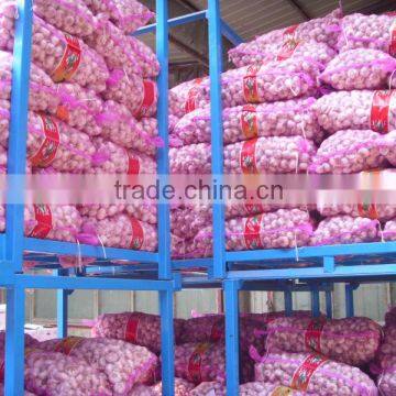 4-6cm normal white garlic