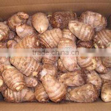 New Crop Taro With High Quality