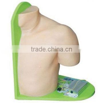 MCT-KC-001 Shoulder Joint Cavity Injection Model