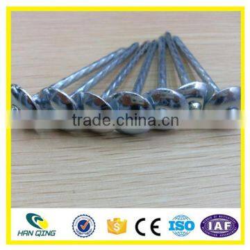 Roofing Nail Factory 3 Inch Electro Galvanized Twisted Shank photo-4