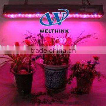 LED greenhouse lighting. 150W-WEX-C150 (LED Greenhouse Lighting/LED Hydroponics lighting/LED indoor gardening lighting)