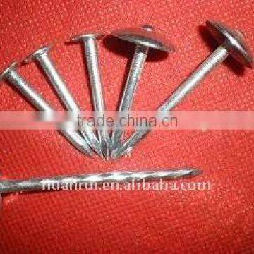 neoprene washer roofing screw2-6