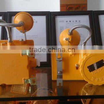 BAJ52 Factory Price Explosion Proof Double Head Emergency Lighting Quality Choice photo-4