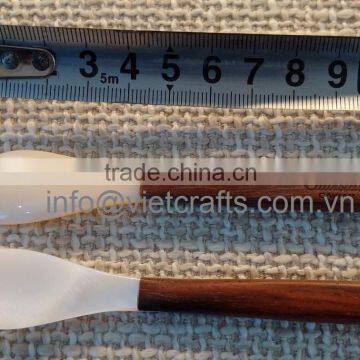 Mother of pearl caviar spoon with wood handle