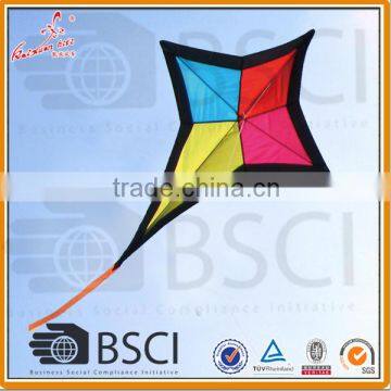 Shandong Manufacturer Fish Triangle Shape Kite for Kids