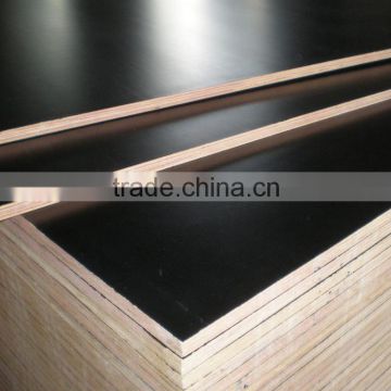 BLACK film faced plywood 18MM