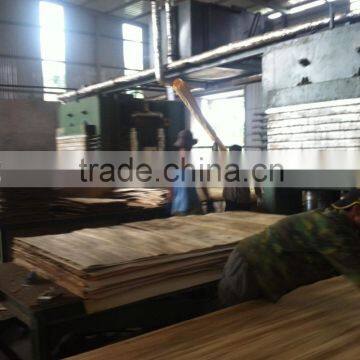 PLYWOOD 4'x8', PLYWOOD THICKNESS 18MM, E2, MR GLUE WITH SUITBLE PRICE, HIGH QUALITY, LARGE QUANTITY