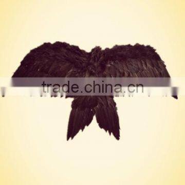 Large Angel Feather Wing photo-2