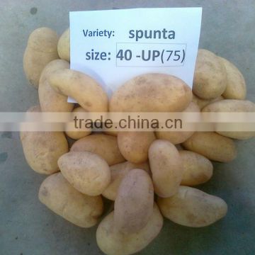 Spunta Potatoes