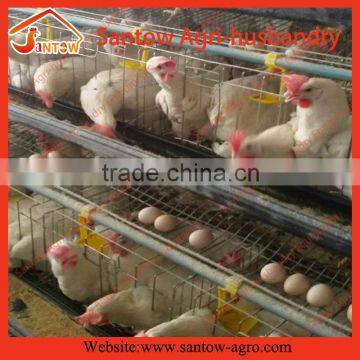 Automatic Chicken Egg Layer Cages Poultry Cage Poultry Farming Equipment for Sale