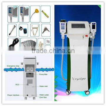 50 / 60Hz 2016 Beauty Salon Equipment Double Heads Cryolipolysis Freezing 500W Fat Reduce Equipment Price For Sale/cool Sculpting Machines