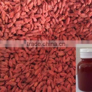 Goji Concentrate Juice (Organic&Conventional Concentrate Juice)