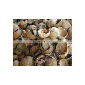 High Quaity Cheap raw coconut shell