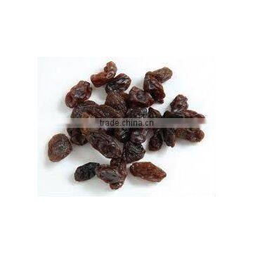 Brown Raisin