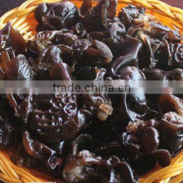 Black Fungus (Auricularia Auricula)high nutrition