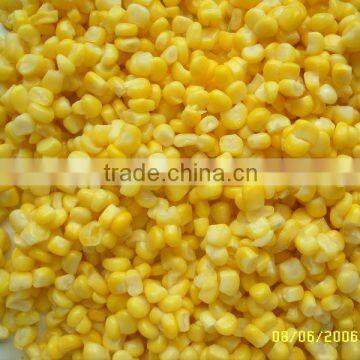 340G CANNED SWEET CORN IN BRINE