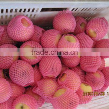 Fresh Apple