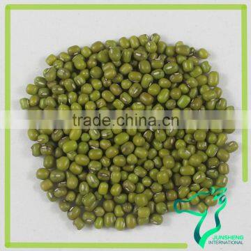 Green Mung Beans