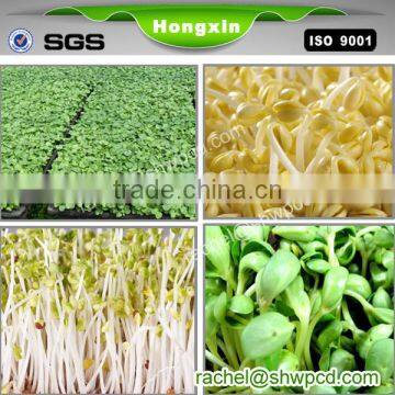 bean/barley sprout making machine for sale