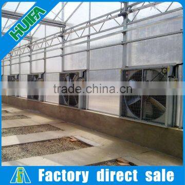 air cooling equipment/air circulating fan wall mounted greenhouse exhaust fan