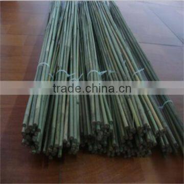 Natural factory moso bamboo poles sale