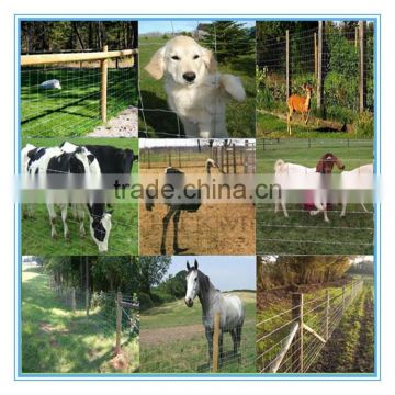 Woven Wire Fence/Goat Sheep Fence