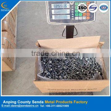 BWG9*2" Galvanized Roofing Nails/ Package According to Customer's Requirement photo-2