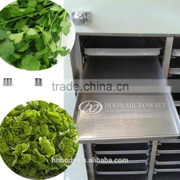 Fruit & Vegetable Processing Machines