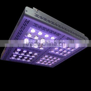 Full Spectrum Hydroponics 1600 Watt Best Led Grow Lights Marshydro Cob Grow Lamp Full Spectrum Commercial Greenhouse photo-2