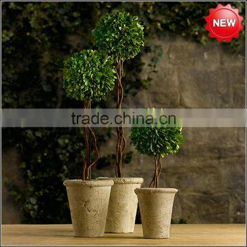 Decorative Potted Boxwood Ball Topiary