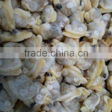 Wholesale Frozen New Produced Clam Meat in Good Season Without Sand photo-3