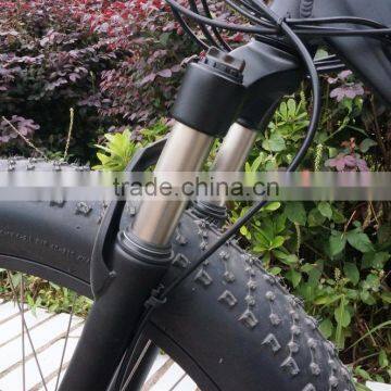 Fashionable Brushless Design no Foldable Electric Snow Bike Fat Tire Electric Bike photo-5