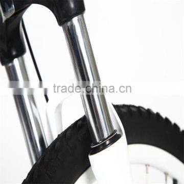 Professional Downhill Mountain Bike Folding Electric Mountain Bike photo-6