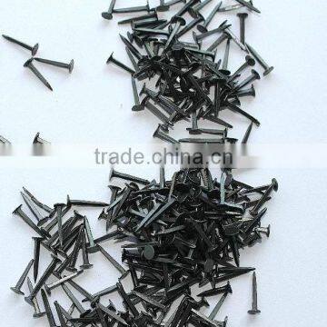 shoe tack nails product/iron wire nail