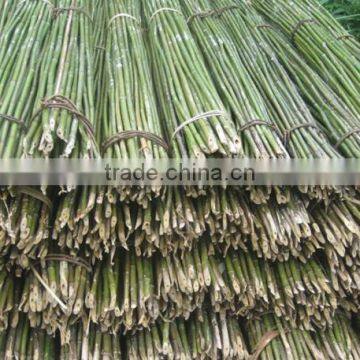 Wholesale small bamboo poles Quality assurance