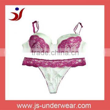 2011 hot sell style/women bra and panty set with lace/popluar in Europe