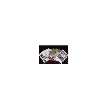 Shenzhen professional magazine printing