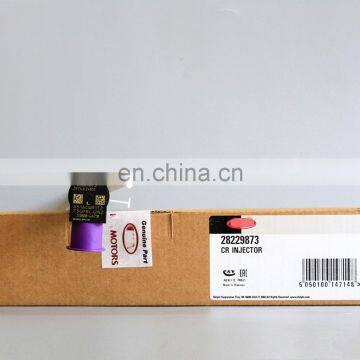Injector Common Rail Fuel Injector 28229873 33800-4A710 Genuine