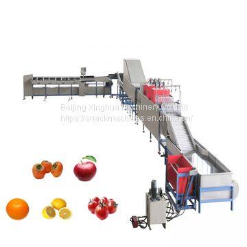 fruit processing line