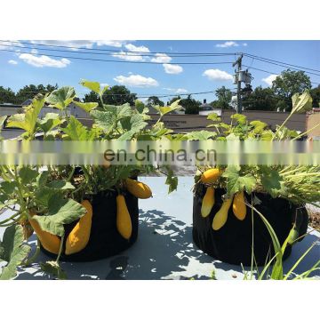 Non woven fabric tomato grow bags, geotextile planting grow bags