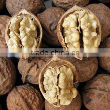 Grade Shell Walnuts Chinese Walnuts Light Walnut Kenel