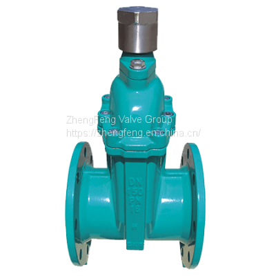 Resilient Gate Valve with Magnetic Lock