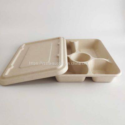 Biodegradable 5 DEEP COMPARTMENTS TRAY SUGARCANE with Sauce Compartment