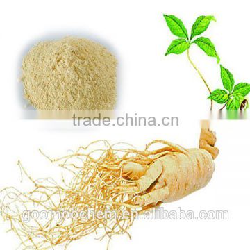 Ginseng extract/Panax Ginseng /ginseng saponins