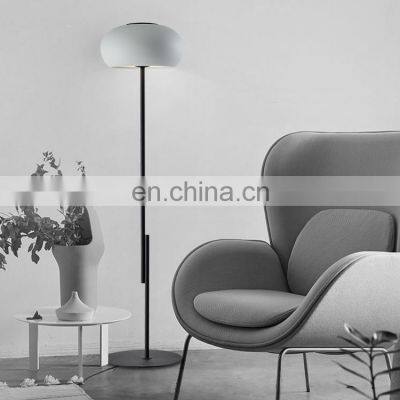 HUAYI High Quality Living Room Indoor Decoration Iron Aluminum LED Classic Globe Floor Lamp